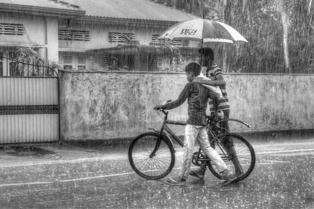 自転車　雨